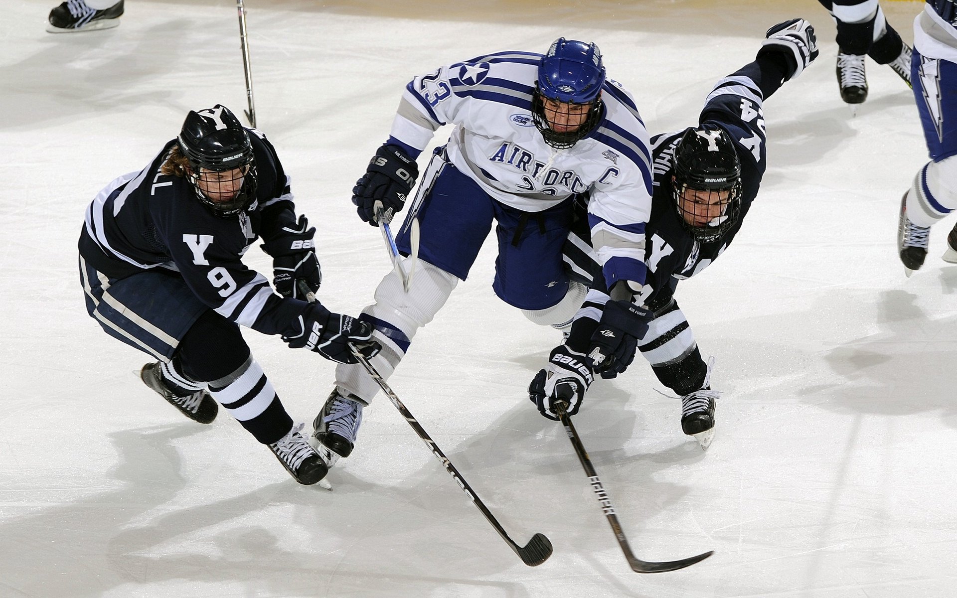 开云体育入口-WRC安全措施：保障车手安全的幕后故事，wtcr安全车